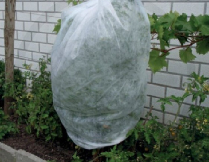 Netkaná textilie bílá 17g/m2 1,6 x 50m