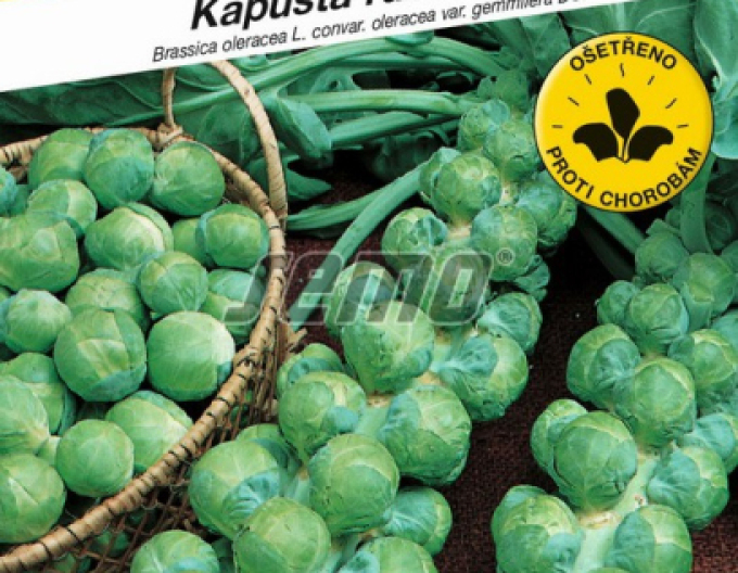 Semo Kapusta růžičková Groninger