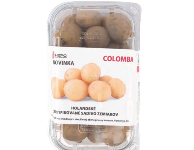 Sadbové brambory ´Colomba´ vanička cca 1 kg