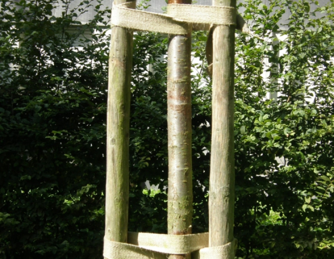 Vázací popruh na stromy šírka 35 mm, délka 50 m