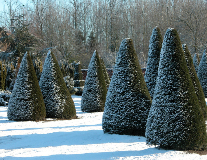 Tis červený ´Cono´