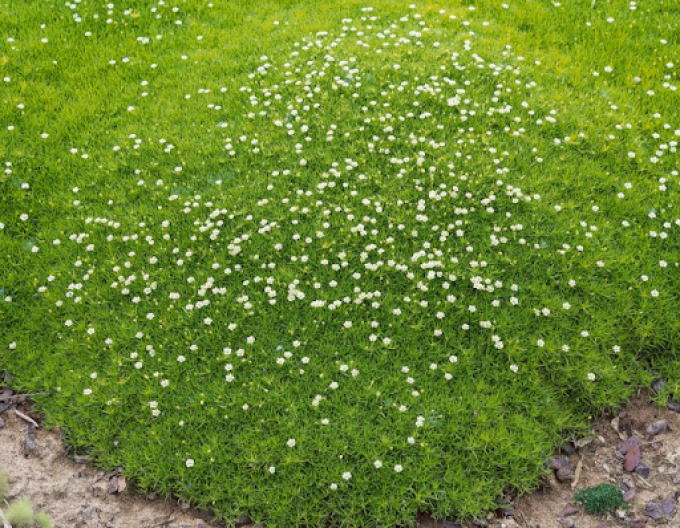 Úrazník ´Supreme´