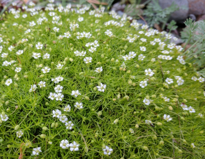 Úrazník ´Supreme´