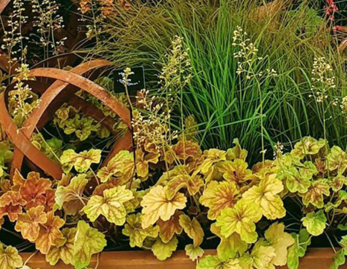 Dlužicha ´Delta Down´