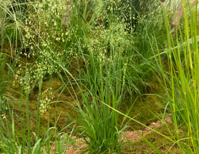 Třeslice prostřední 9x9