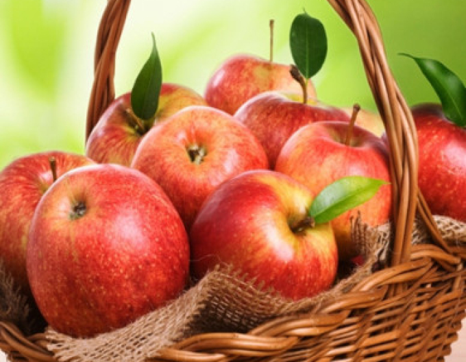 Jabloň Jonagold zimní, podn.A2, prostok.