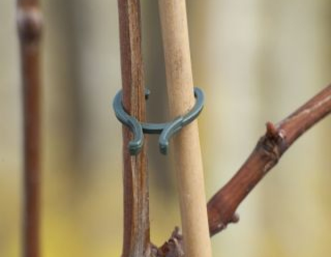 Svorky na rostliny 20 mm