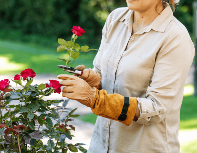 FELCO 705 Rukavice pro růže