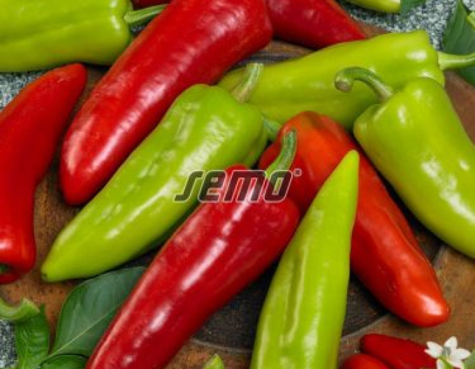 Semo Paprika roční ´Dráky F1´
