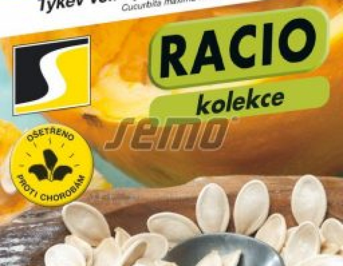 Semo Tykev velkoplodá Gurman (SM 396/19)