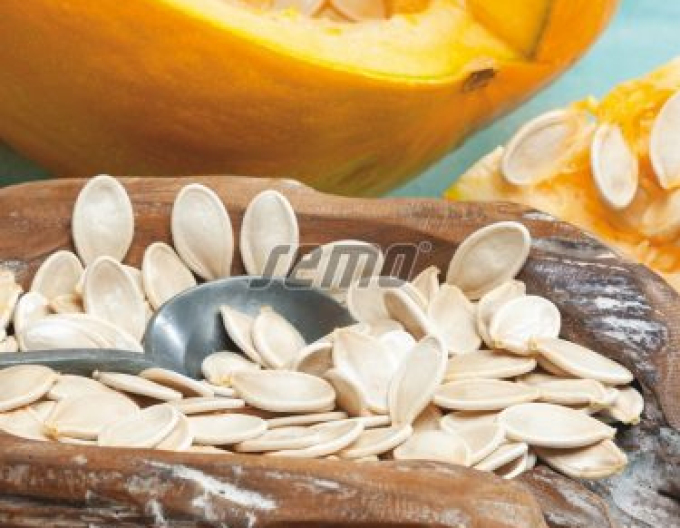 Semo Tykev velkoplodá Gurman (SM 396/19)