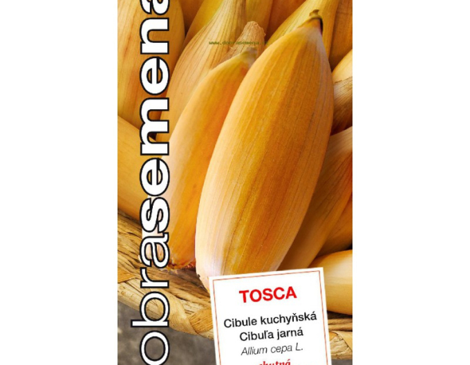 Dobrá semena Kuchyňská cibule Tosca
