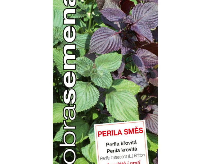 Dobrá semena Perila křovitá