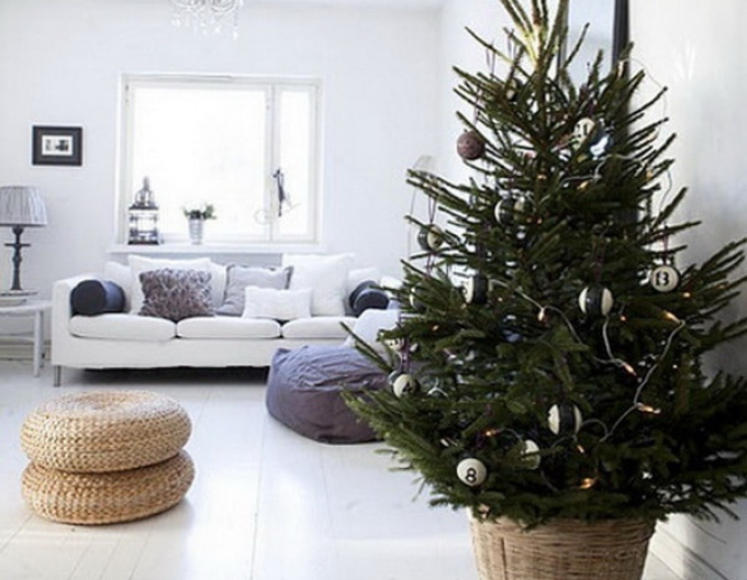 Smrk pichlavy 125/150 cm, kont.