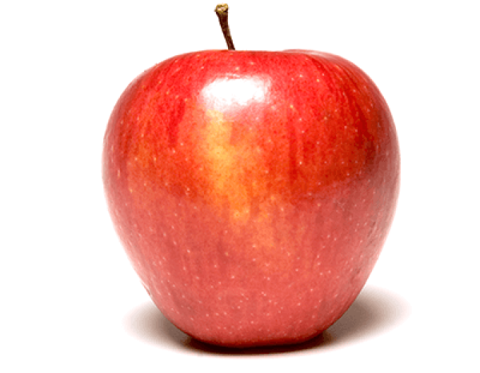 Jabloň Pinova zimní, podn. M9, prostok.