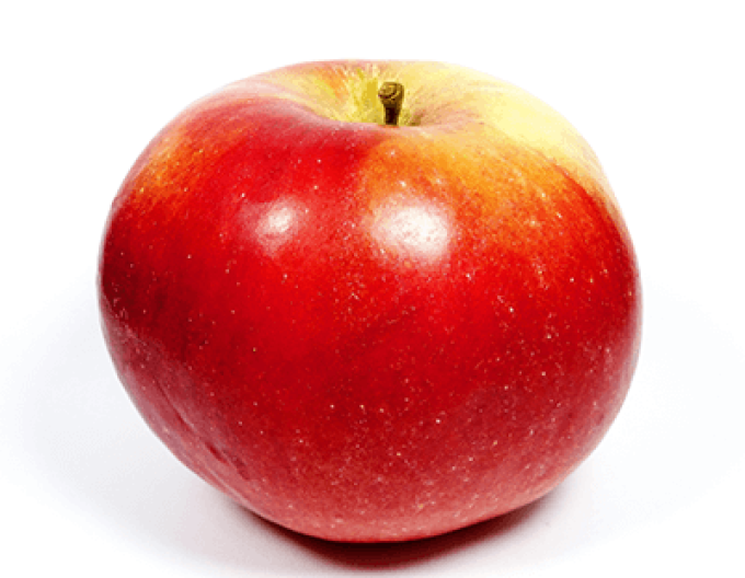 Jabloň ´Idared´ zimní, podn. A2, kont. 5l