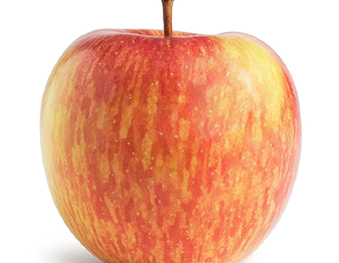 Jabloň Fuji, zimní, podn. M9, prostok.