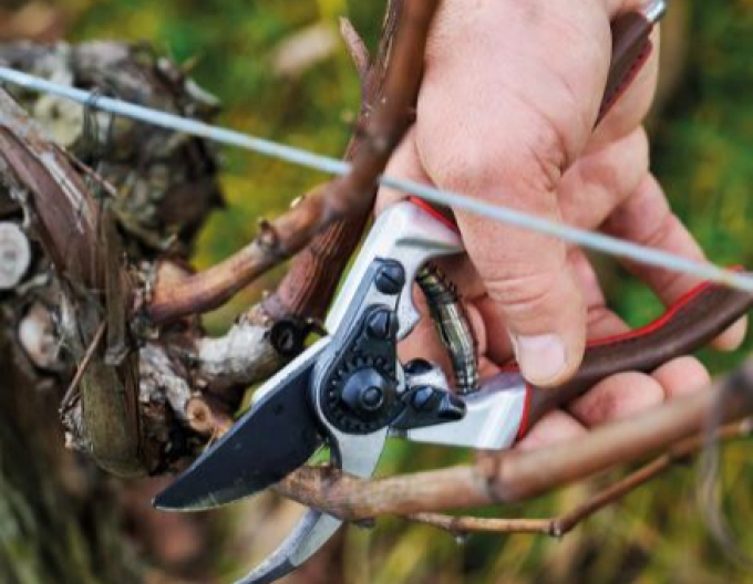 Zahradní nůžky FELCO 6 Elite