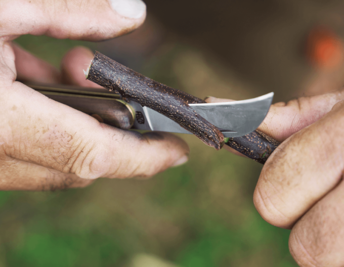 FELCO 511 Očkovací nůž na révu