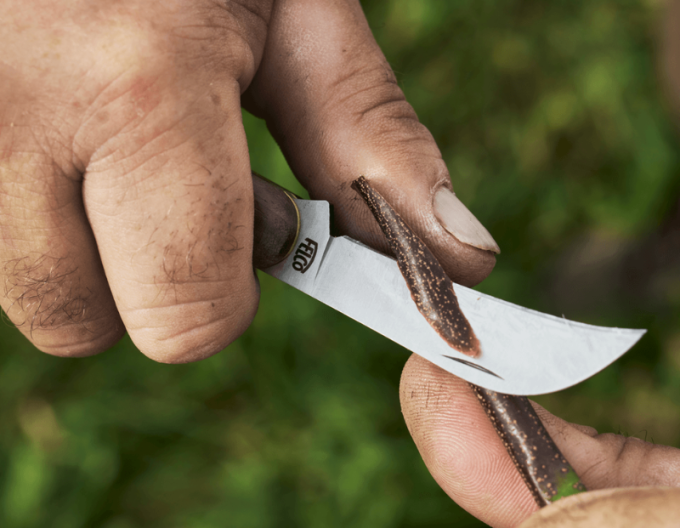 FELCO 511 Očkovací nůž na révu