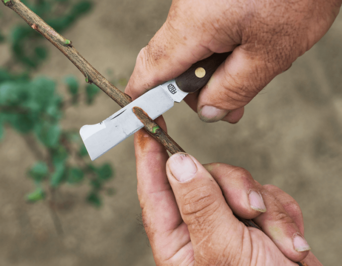 FELCO 512 Štěpařský nůž