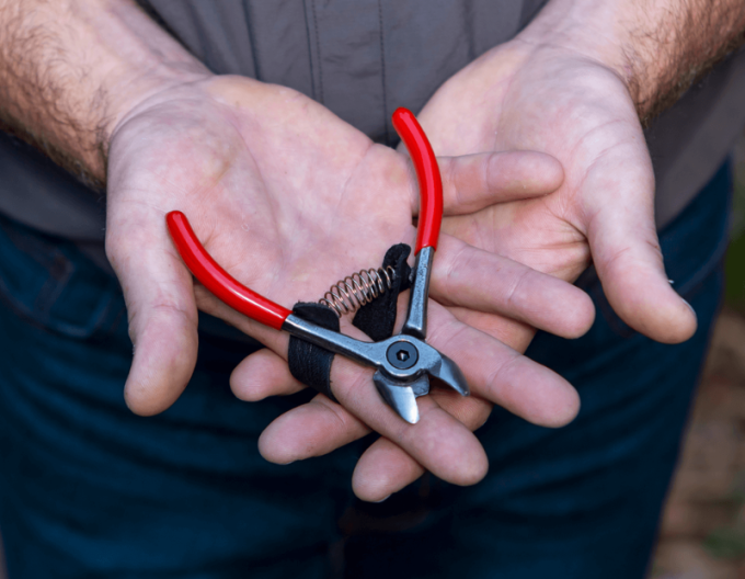 FELCO 330 Nůžky na ovoce