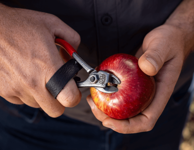 FELCO 330 Nůžky na ovoce