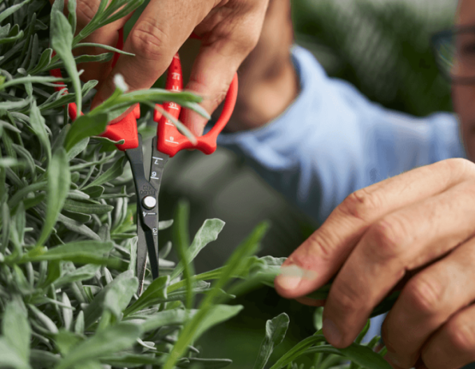 FELCO 420 Přesné nůžky na stříhání