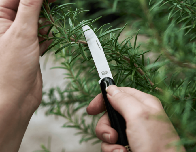 FELCO 520 Floristický nůž