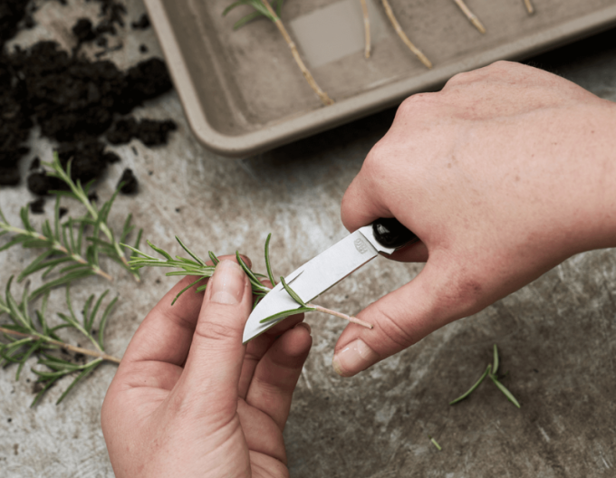 FELCO 520 Floristický nůž