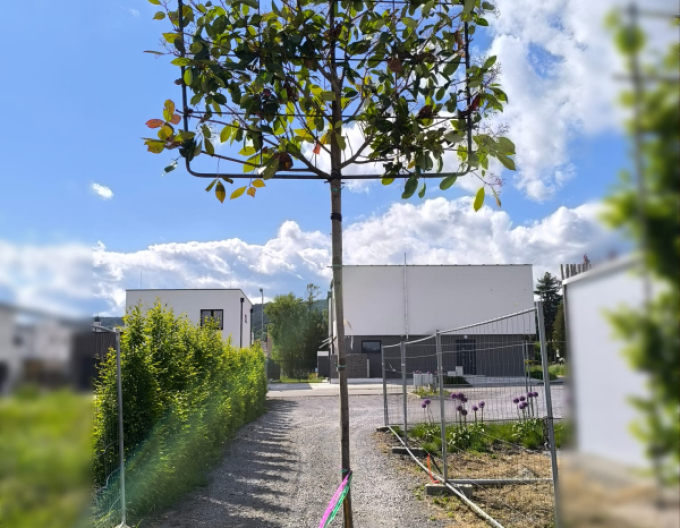 Blýskavka Red Robin stena 100x120cm na kmínku