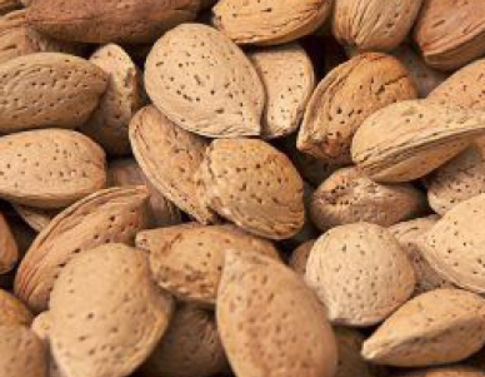 Mandle ´Vama´, kont. 5l