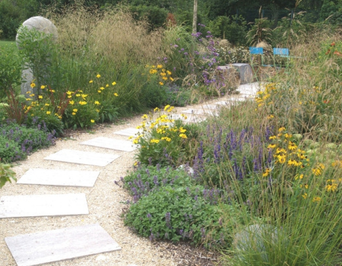 Metlice trsnatá  Goldschleier 9x9