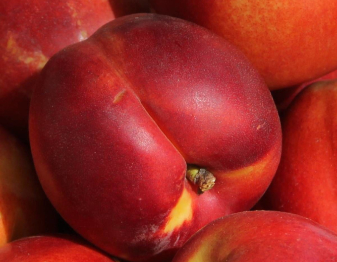 Nektarinka ´Fantasia´ pozdní, podn. GF677, prostok.