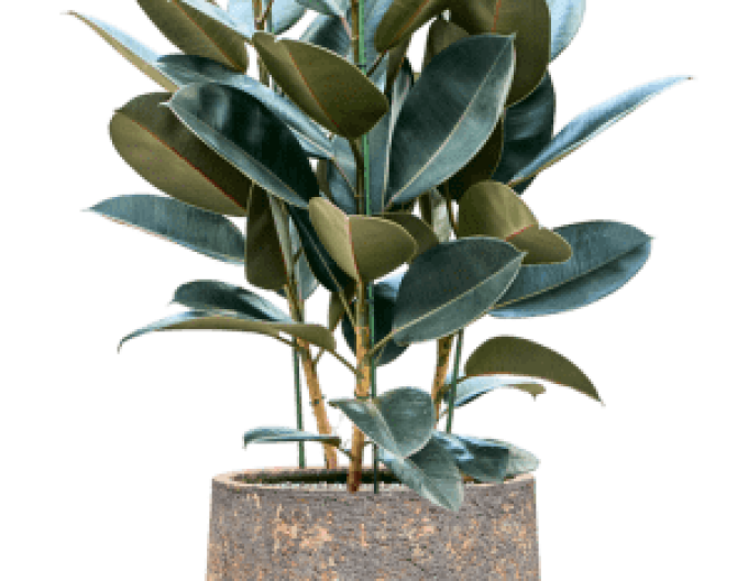 Hliněný květináč ´Baq Atlas Darcy Brown´