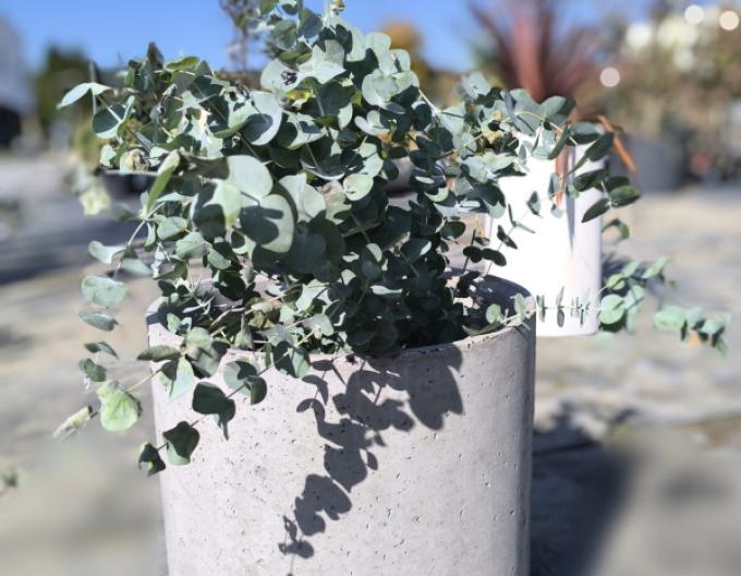 Květináč Terratico Fusion Essen S Silver