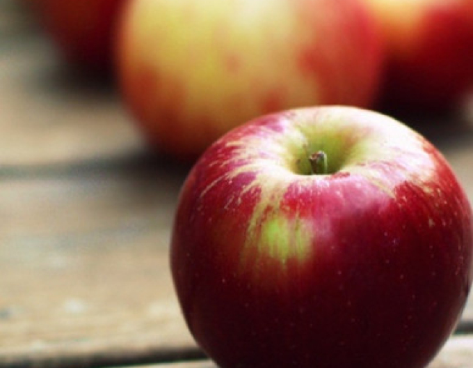 Jabloň ´Gala´ zimní, podn. MM106, prostok.