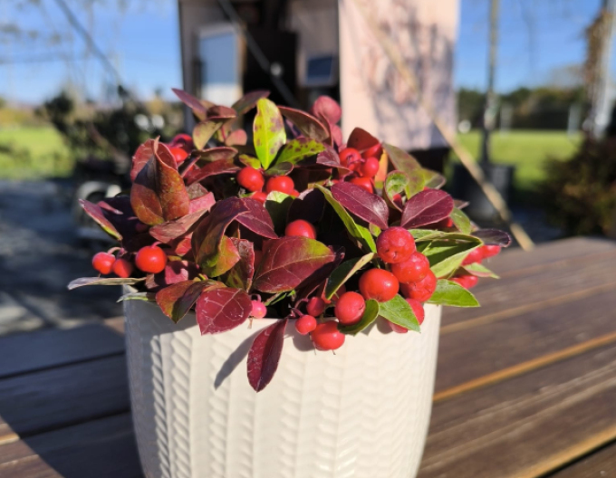 Keramický obal na květináč bílý s leskem