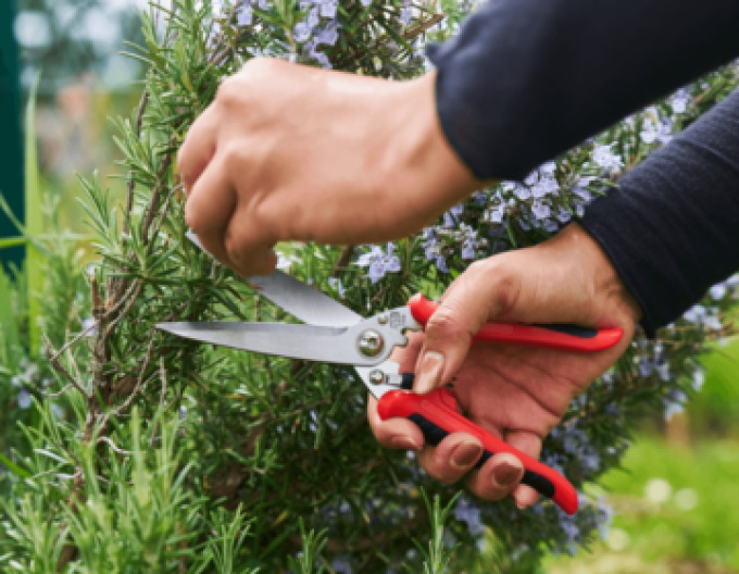 FELCO 456 Univerzální nůžky