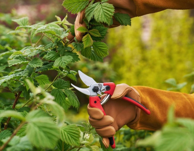 Nůžky FELCO 171M + bruska FELCO 902
