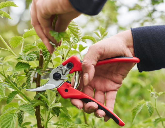 Nůžky FELCO 171M + bruska FELCO 902