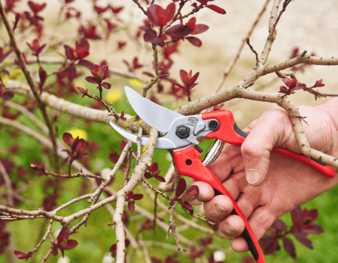 Nůžky FELCO 171L + bruska FELCO 902