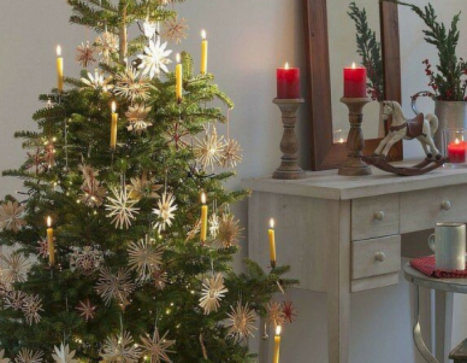 Korejská jedle 450cm, kont.