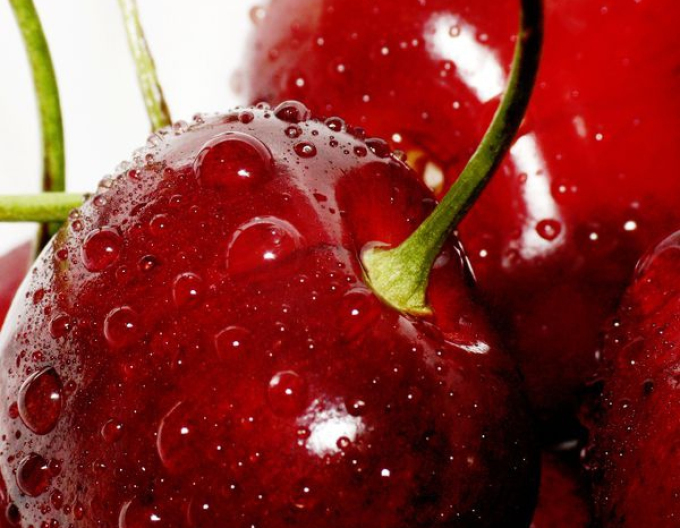 Třešeň ´KORDIA´ pozdní, podn. Colt, prostok.