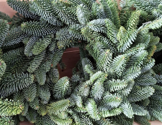 Vánoční věnec (Abies Nobilis) 45cm