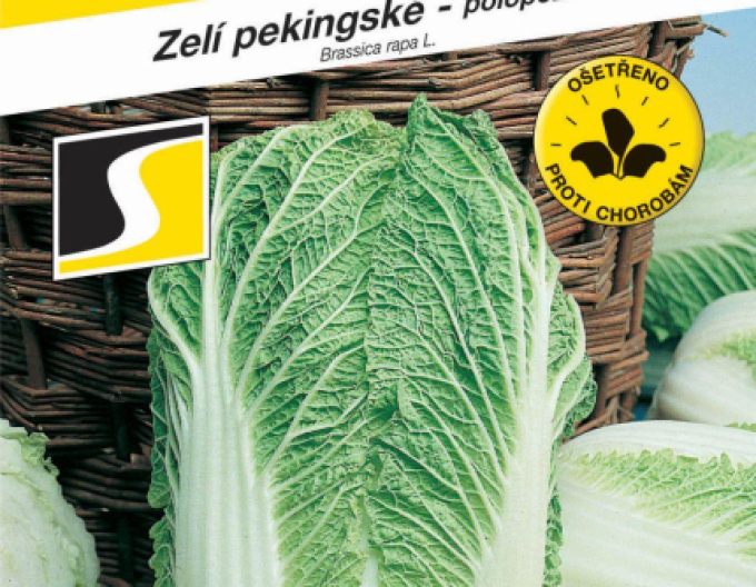 Semo Zelí pekingské ´Concord F1´