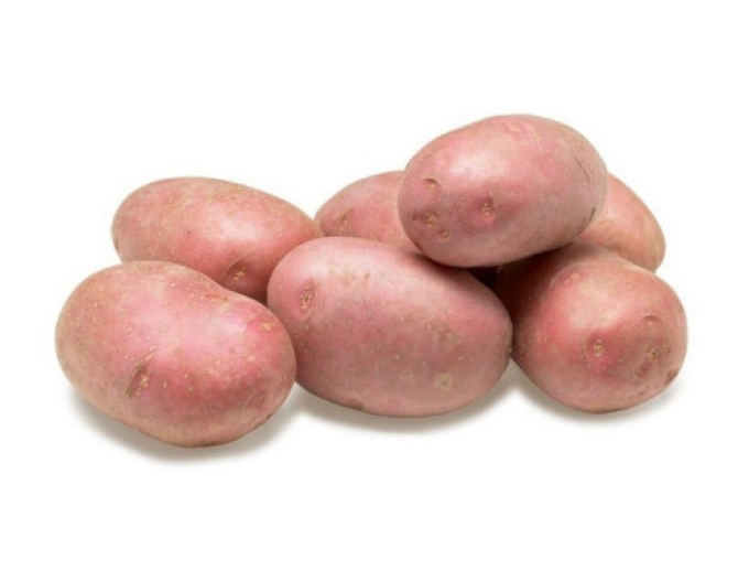 Sazenice brambor ´Memphis´ 5kg