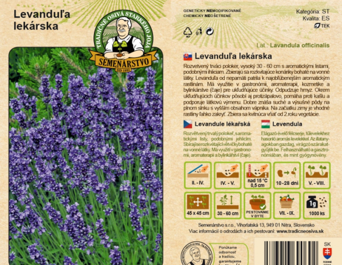 Semenářství Levandule lékařská