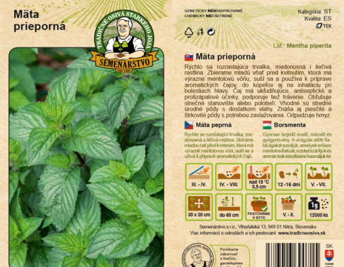 Semenářství Máta peprná