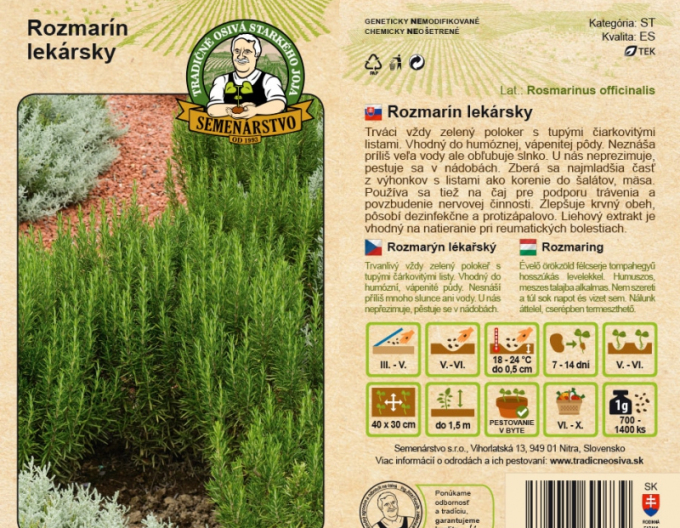 Semenářství Rosmarín lékařský